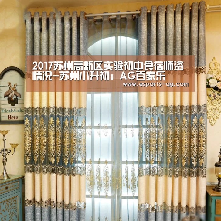 AG视讯